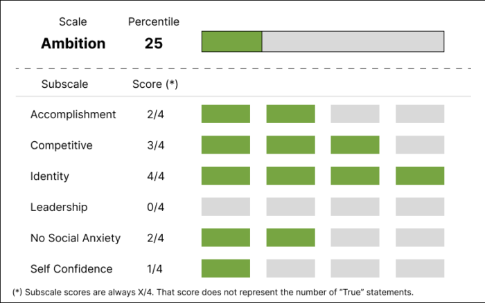 Hogan Personality HPI Scoring